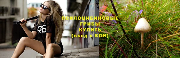 круглые Алзамай