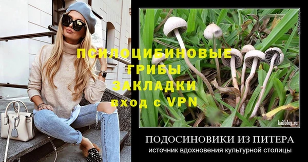 круглые Алзамай