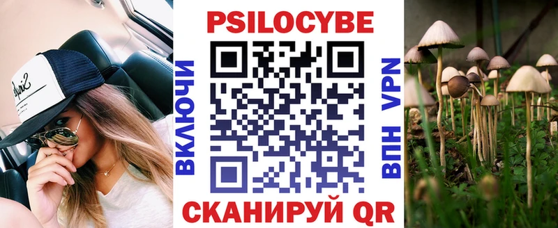 купить наркотики сайты  Новороссийск  Галлюциногенные грибы Magic Shrooms 